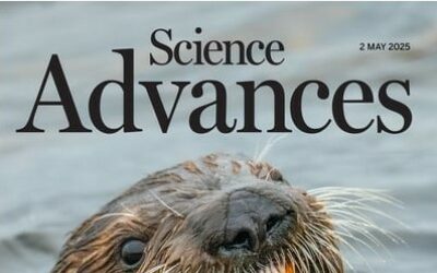 New publication in Science Advances Magasine: “Unveiling long-range forces in light-harvesting proteins: Pivotal roles of temperature and light”