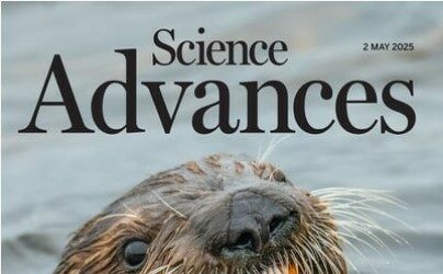 New publication in Science Advances Magasine: “Unveiling long-range forces in light-harvesting proteins: Pivotal roles of temperature and light”